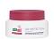 Sebamed Anti-Ageing Q10 Protection Cream -      Q10   Anti-Ageing - 