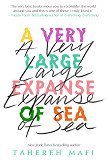 A Very Large Expanse of Sea - 