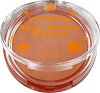 Bell Pumpkin Spicy Bronze Powder -          Spicy Pumpkin - 
