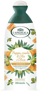 L'Angelica Officinalis Royal Jelly & Olive Oil Shampoo -            - 